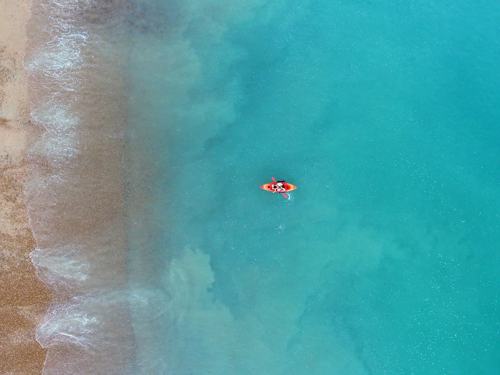 Single kayaker mid-paddle on mirror-flat Everglades water, tea-tree stained dark, paperbark trees reflecting perfectly. Soft morning light, no other boats in frame.